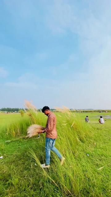 @🌸..তিরিং-বিরিং-ভাইয়া-🌺