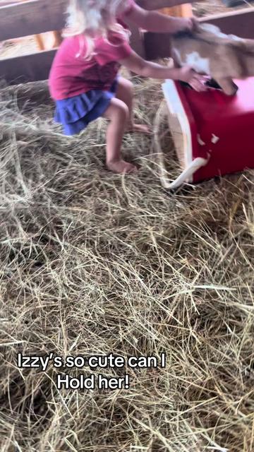 @🌾 𝑅𝒶𝓎𝓁𝒾𝓃🌾