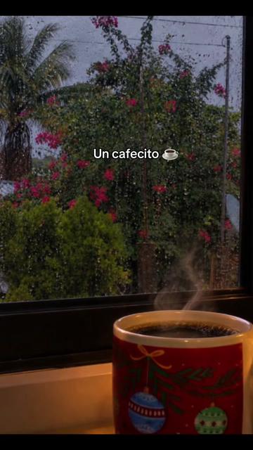 @rosapedraza48
