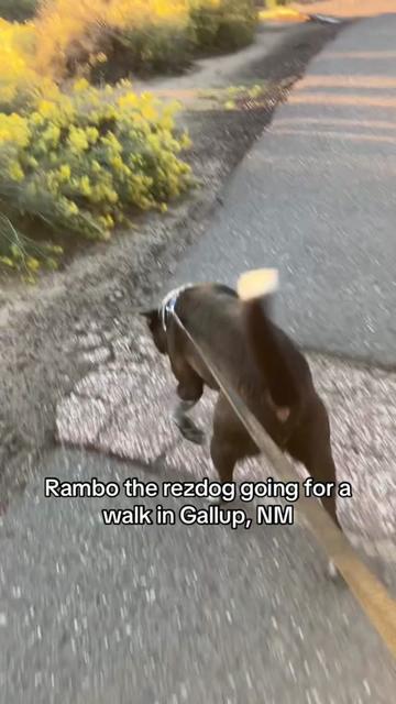 @Rippy TwoGuns
