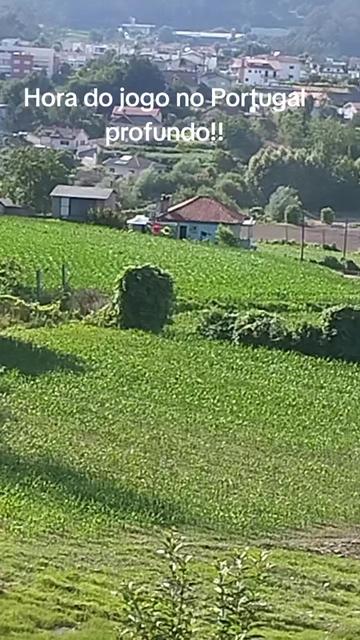 @Osmar Pereira