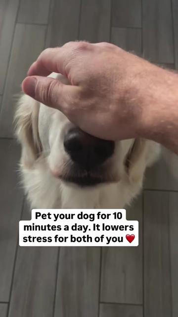 @PetFitness