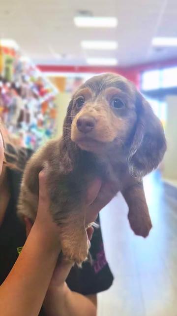 @Petland Oklahoma City