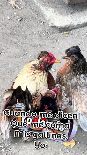 @Mayra Arreola