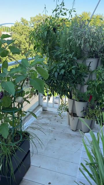 @gardeningindoors