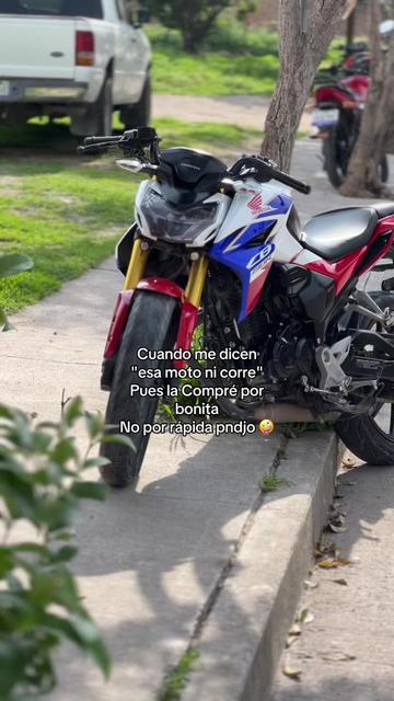 @𝐌𝐀𝐍𝐔𝐄𝐋