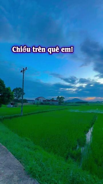 @Hương Ước