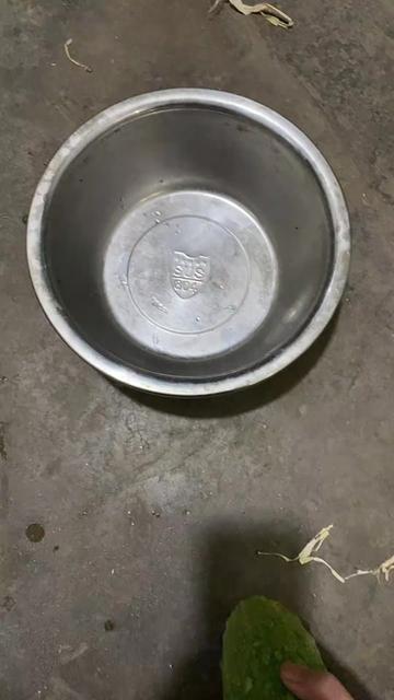 @🇲🇽MAYOREO QIHUO MÉXICO🇲🇽