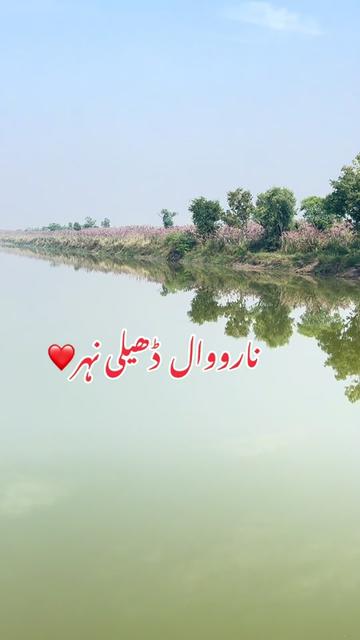 @bigboss02025