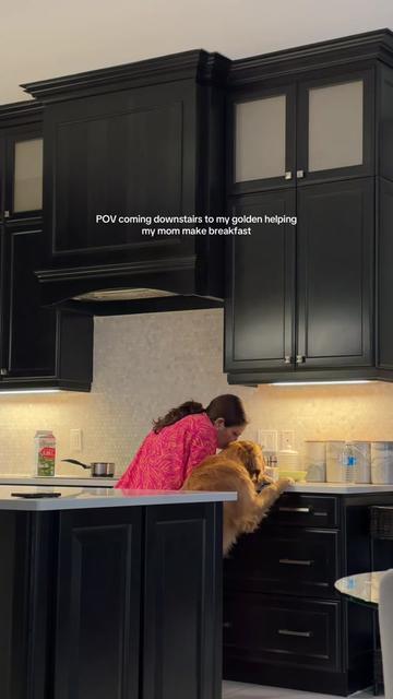 @Bentley the Spicy Golden🌶️