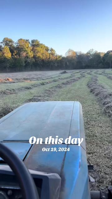 @Gray Acres Homestead