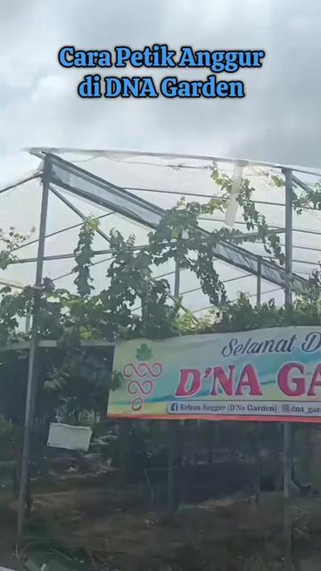 @DNA Garden