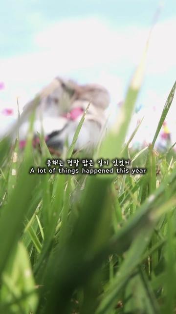 @춘가드