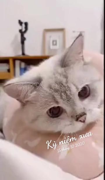 @JBN CATS