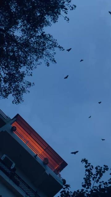 @𝗔𝗺𝗺𝗮𝙡_𝙚𝙙𝙞𝙩𝙯🦢