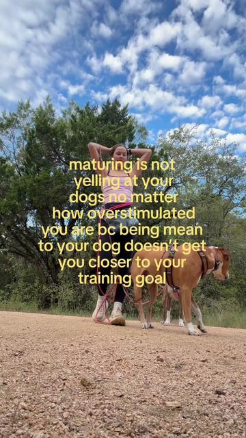@Abby KPA-CTP | Dog Trainer