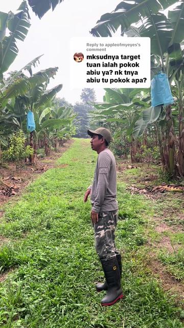 @Dusun Cikgu Mail