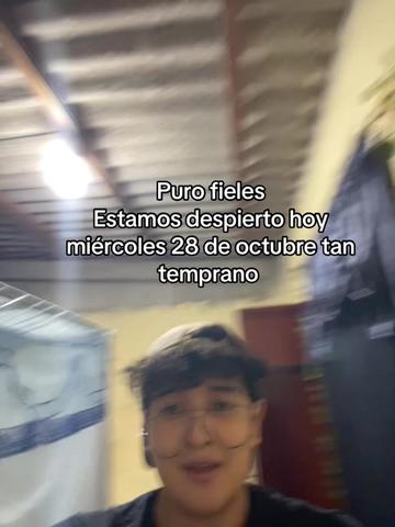 @Alexcastro