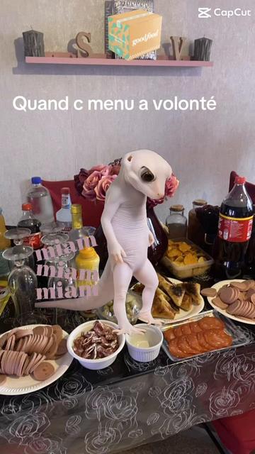 @Vivi