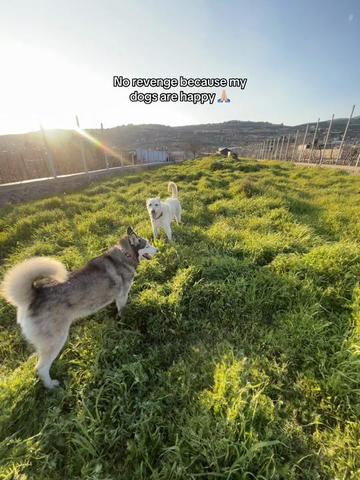 @Nala & Bella 💜
