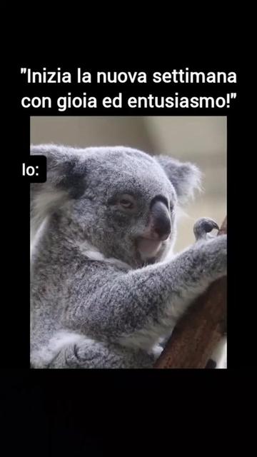 @ilmanu75