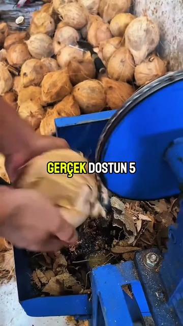 @Başarı yıldız