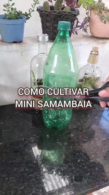 @EcoaBio - Educa&ccedil;&atilde;o Ambiental
