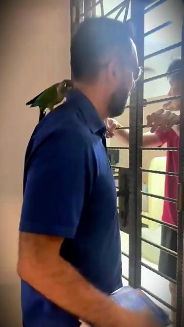 @Pritam Singh 毕丹星ப்ரிட்டம் சிங்