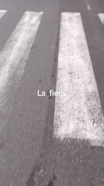 @Giusy Pappalardo
