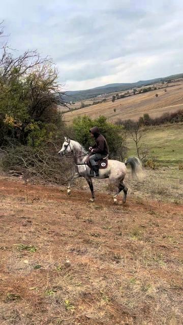 @BERTI RANCH 🐎