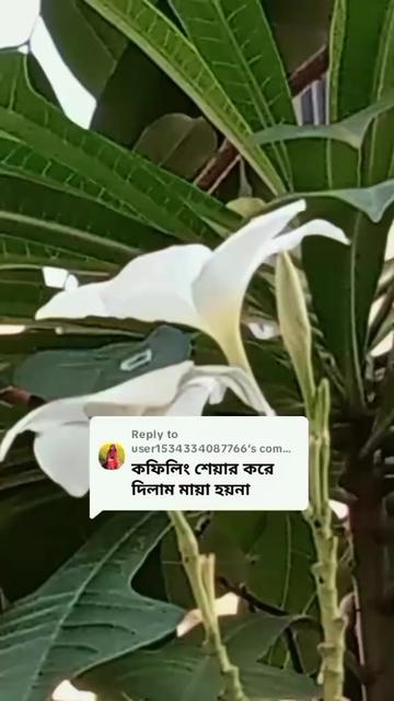 @ashikkhan