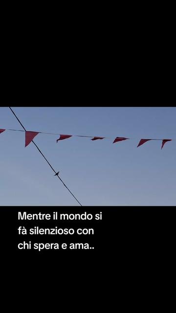 @luciadauria47