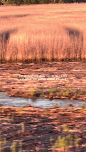 @Noor Travel