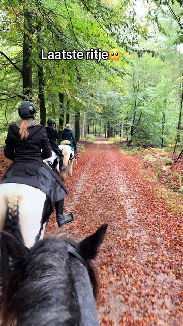 @Syrche Cordewener