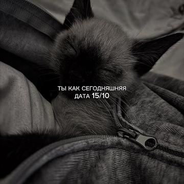 @ХХИКА