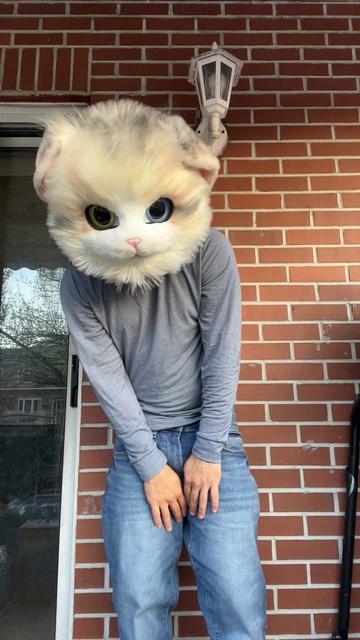 @The CaT 😼
