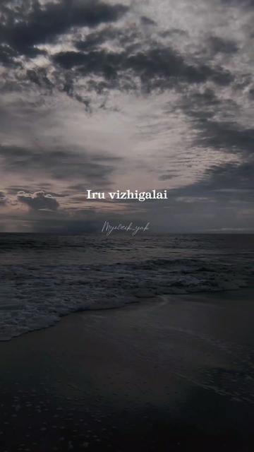 @ꪑꪗꪮ੦ɀỉƙ_ꪗꪖƙ ♪♫♬ 🧬