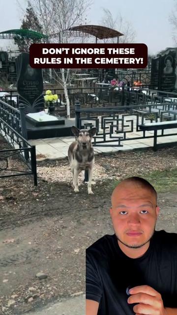 @creepy_story