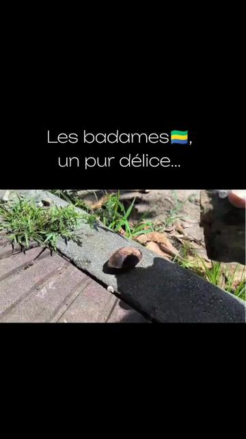 @Gabon, mon h&eacute;ritage