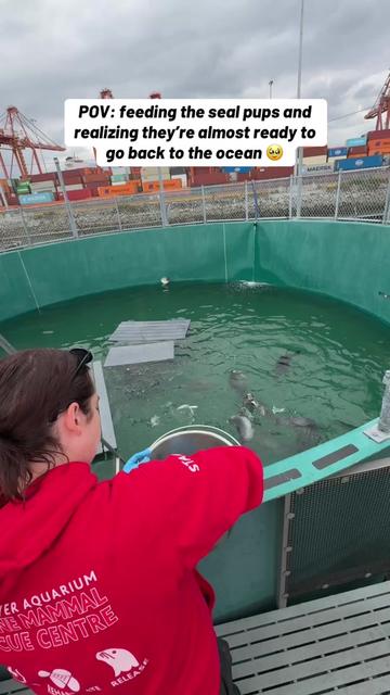 @Marine Mammal Rescue Society