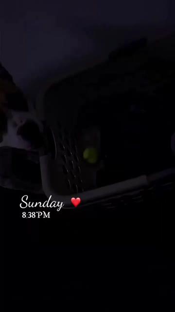 @Dezzy_diane