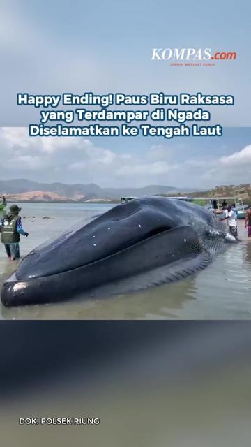 @Kompas.com