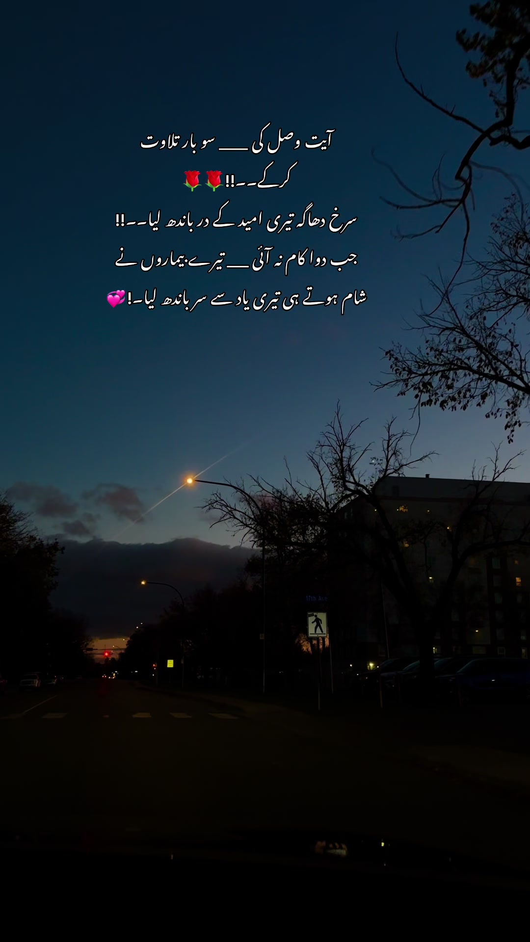 @Nasira Rani 🇨🇦