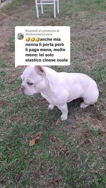 @Paola Pichetto
