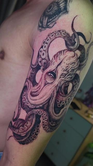 @IQ TATTOO