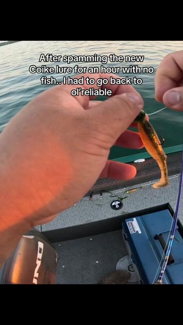@BRVDDY BASSIN
