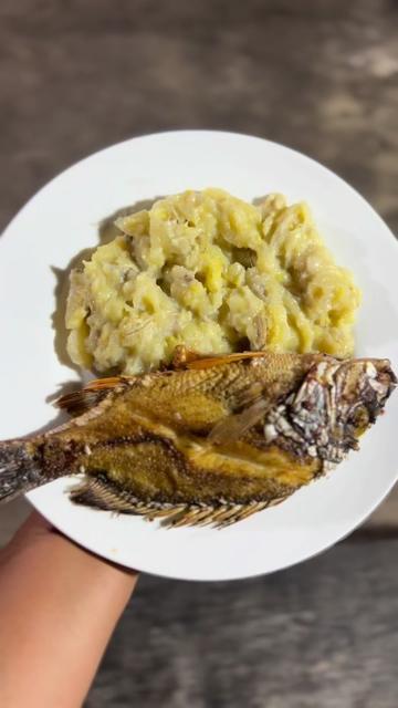 @SyLein👩🏻🍳🇫🇲