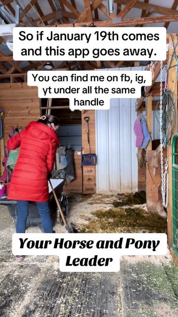 @yourhorseandponyleader