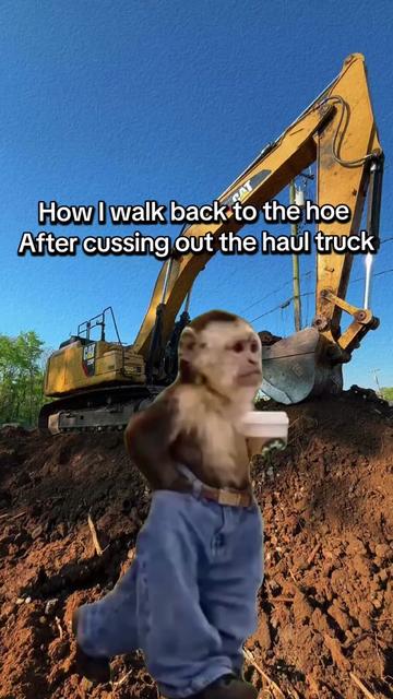 @Robert Jones 🦆