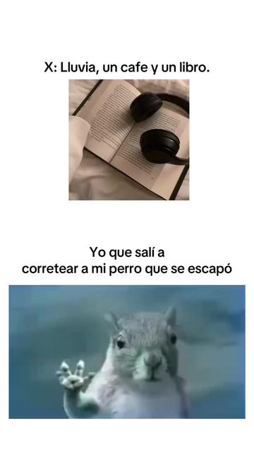 @adristreets